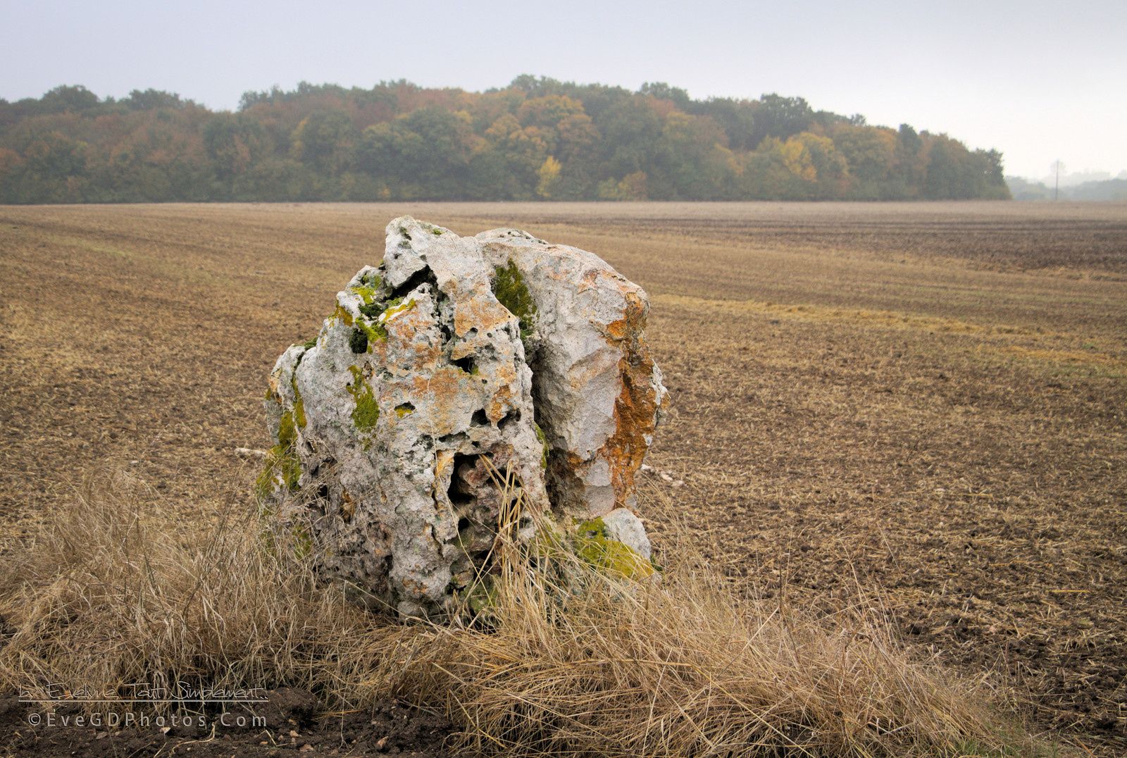 Mégalithe... Le Menhir de la Pierre Grise.. ©By Evelyne, Tout