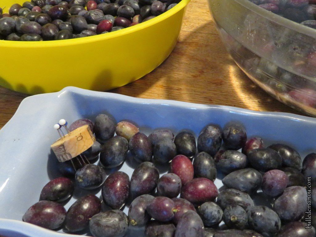Olives noires en saumure - Dans la Bulle de Manou