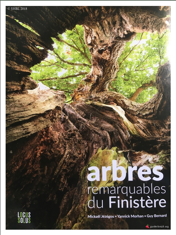 "arbres remarquables du Finistère "par Mickaël Jezegou - Yannick Morvan - Guy Bernard : Edition Locus Solus