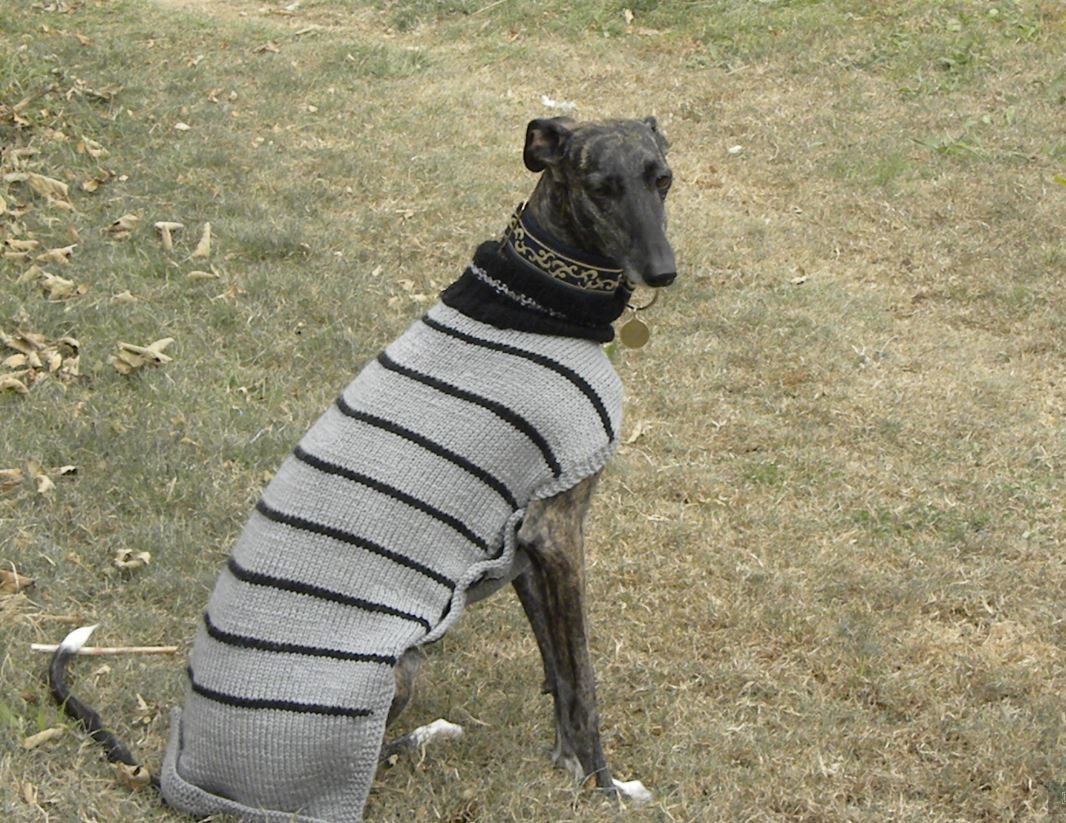 Repose En Paix Douce Mona Aide Aux Refuges Espagnols Et Aux Animaux Maltraites