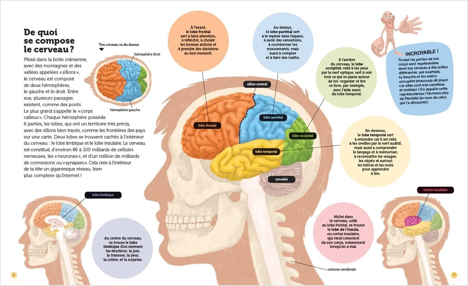 Il A Réalisé Le 6 Sens Et Incassable Mon cerveau (Questions-Réponses ? 7+) - Jeux Tu Lis