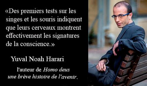 Yuval Noah Harari et les tests sur les animaux pour localiser la conscience: homo deus