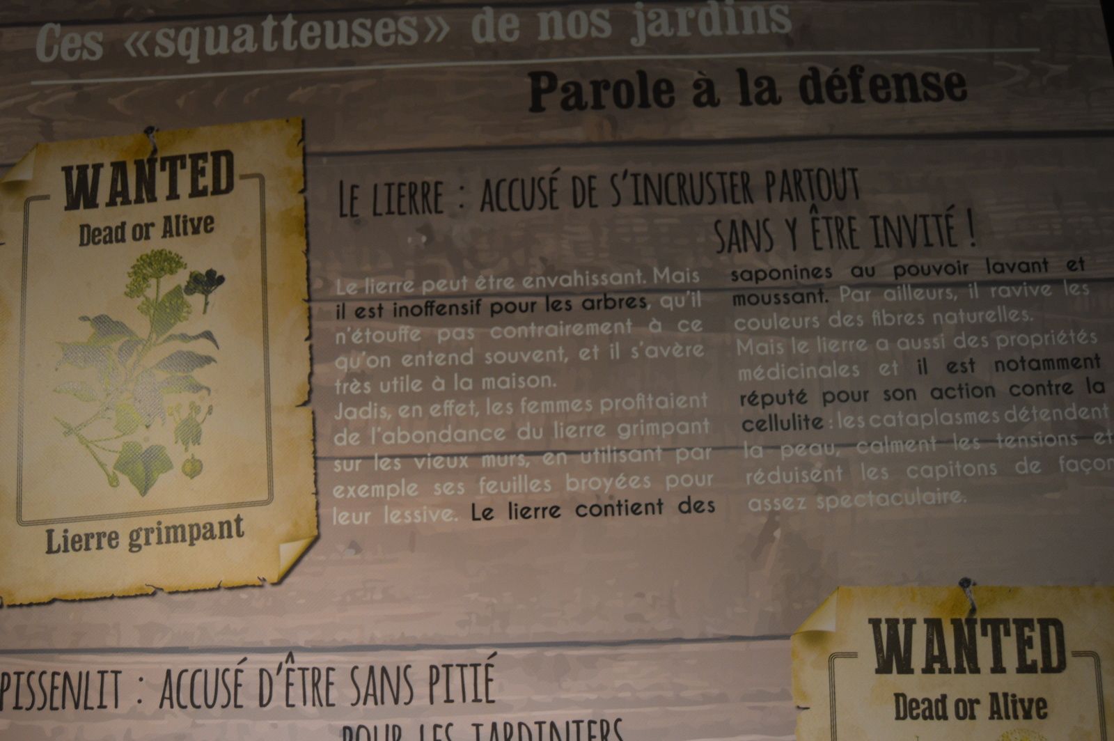 expo LaTribunedeSaintGervaissurMare