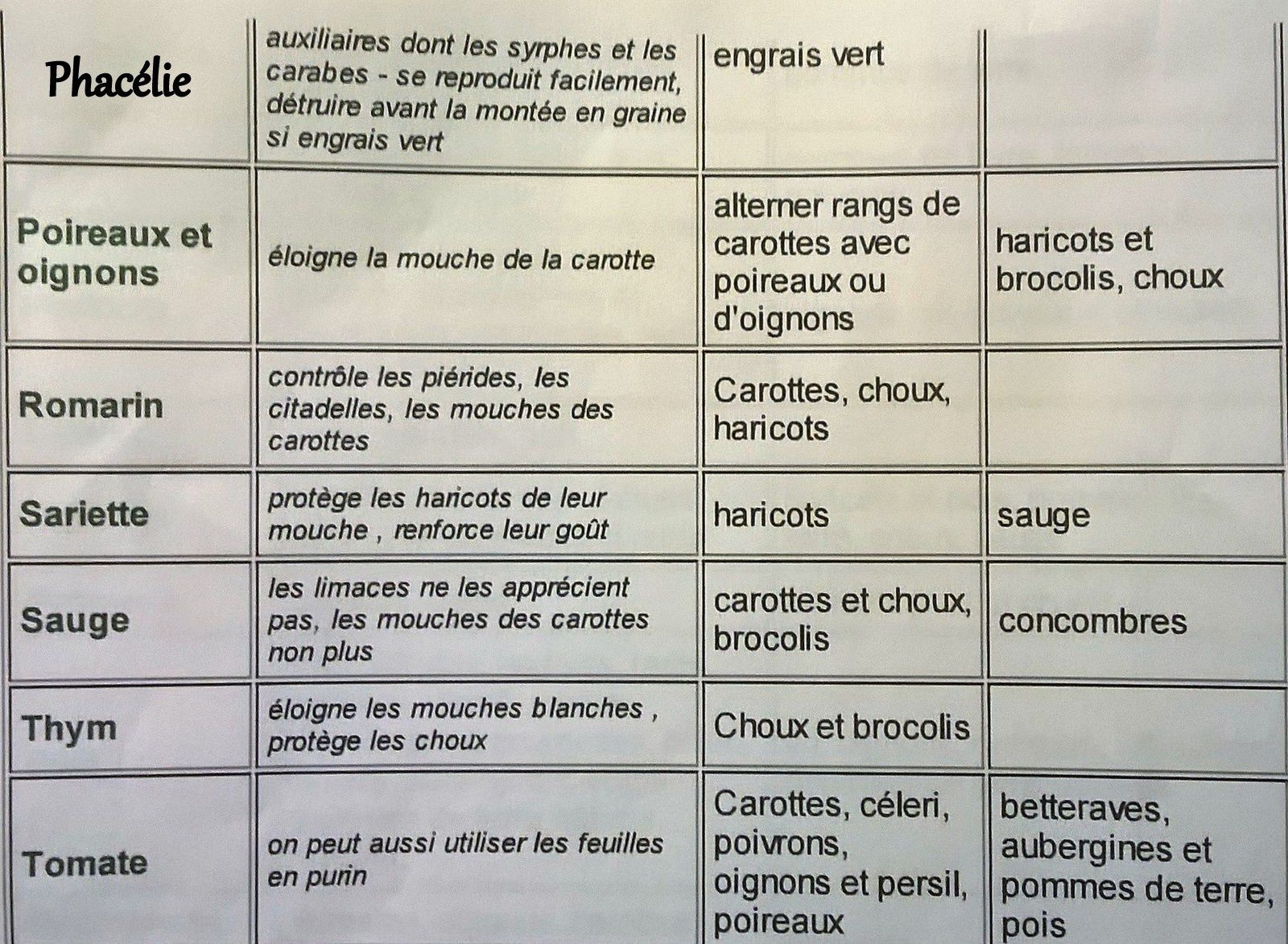 Tableau Association Légumes Potager à Imprimer Les bonnes associations, le compagnonnage de légumes et de plantes au