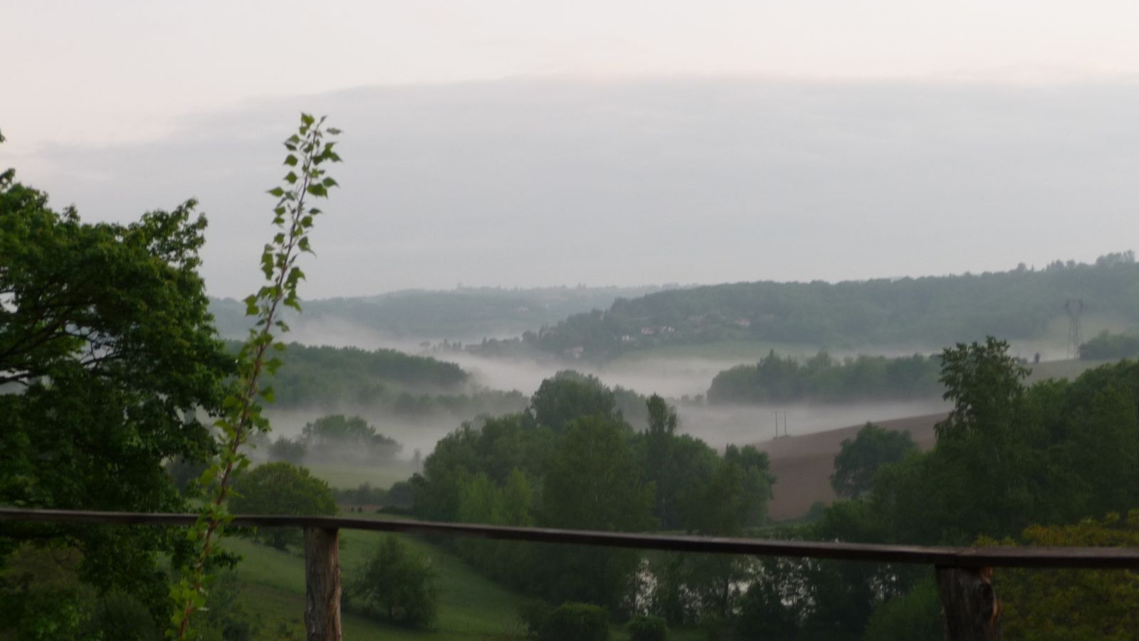 cougar lot et garonne