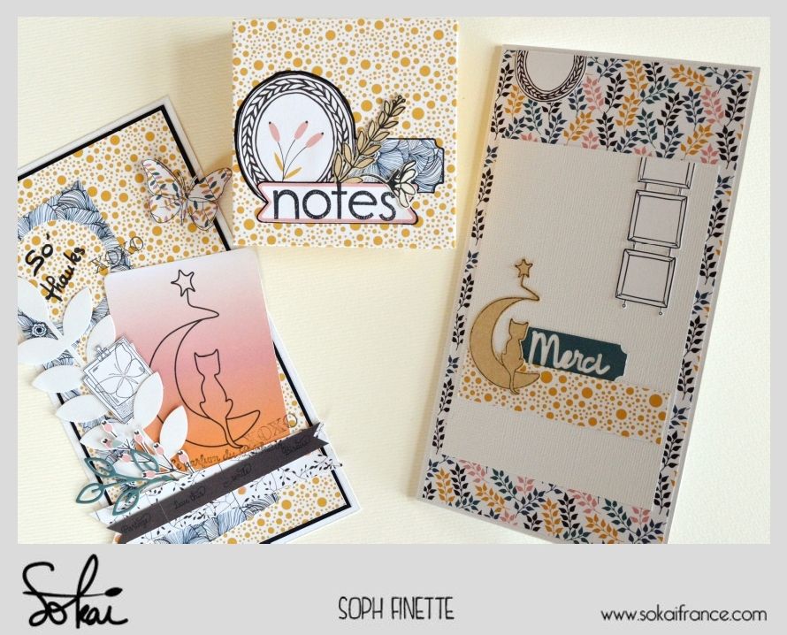 Dt Sokai Ensembles Pour Dire Merci Ou Joyeux Anniversaire Le Monde De Sophfinette