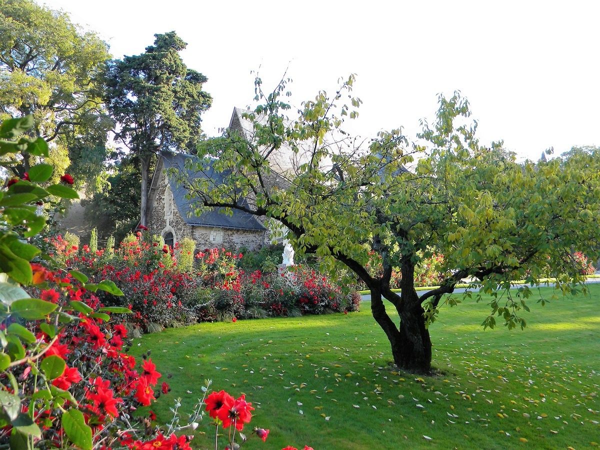 JARDIN DES PLANTES ANGERS (Photo rediffusée) PAROLES D ESCARGOT