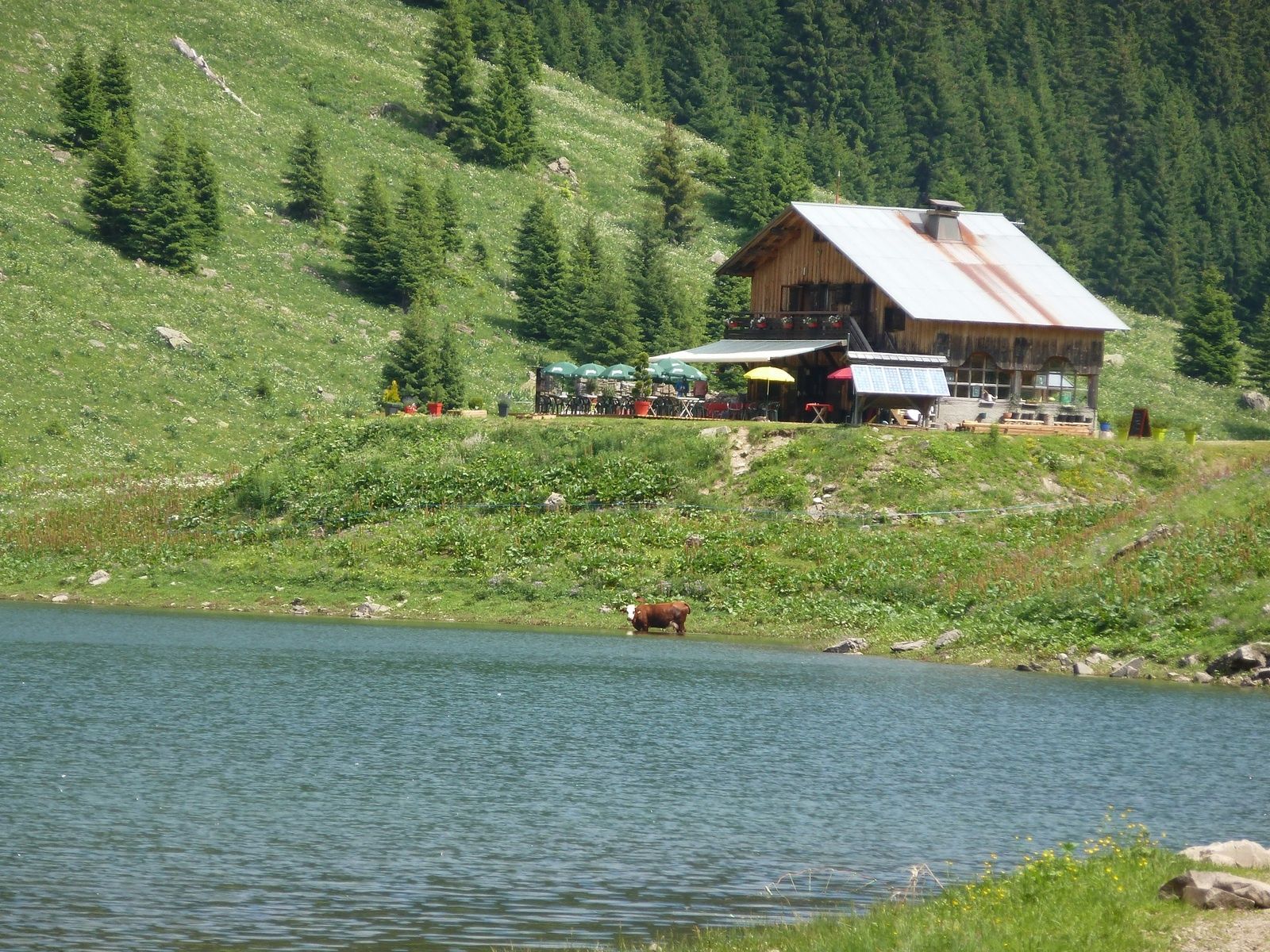 Lac de Gers (1537m) Samoëns - Randonnée Haute-Savoie Le blog de l' Ange de  la Yaute