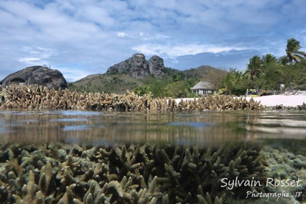 Récif corallien et paysage d'une île fidjienne