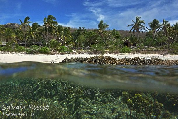 Plage de sable blanc et récif de corail  - île Fidji