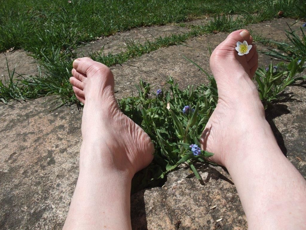 ob_bb685f_pieds-fleuris-dscf7323.jpg