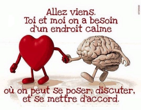 Citation Du Jour Le Blog De Rv Citation Du Jour Le Blog De Rv