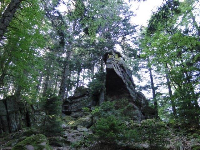 Thannenkirch Fox Farm Rocher De La Paix D Udine Rocher Pointu Rocher Des Geants Rocher Des Reptiles Rammelfels Vosges Randonnees