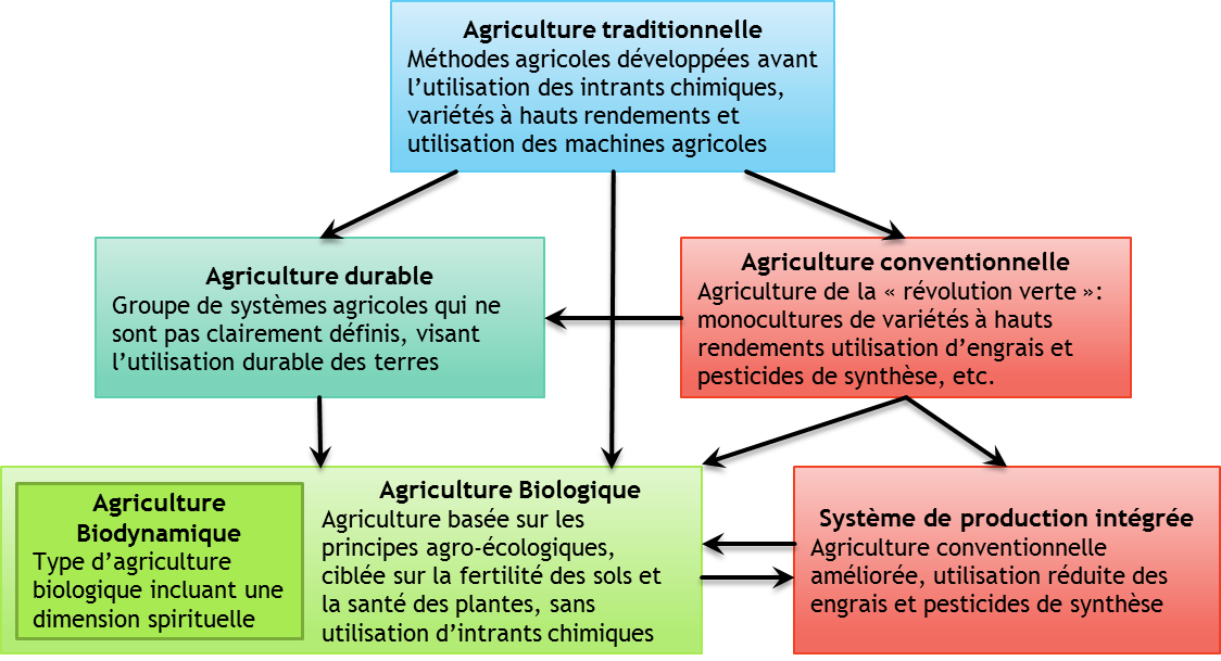 Revenir de l'exploitation agricole à la ferme, de l'agriculteur au paysan,  de la mondialisation aux circuit-court, pour revitaliser les sols et  l'humain. - L'avenir sera ce qu'on en fera !