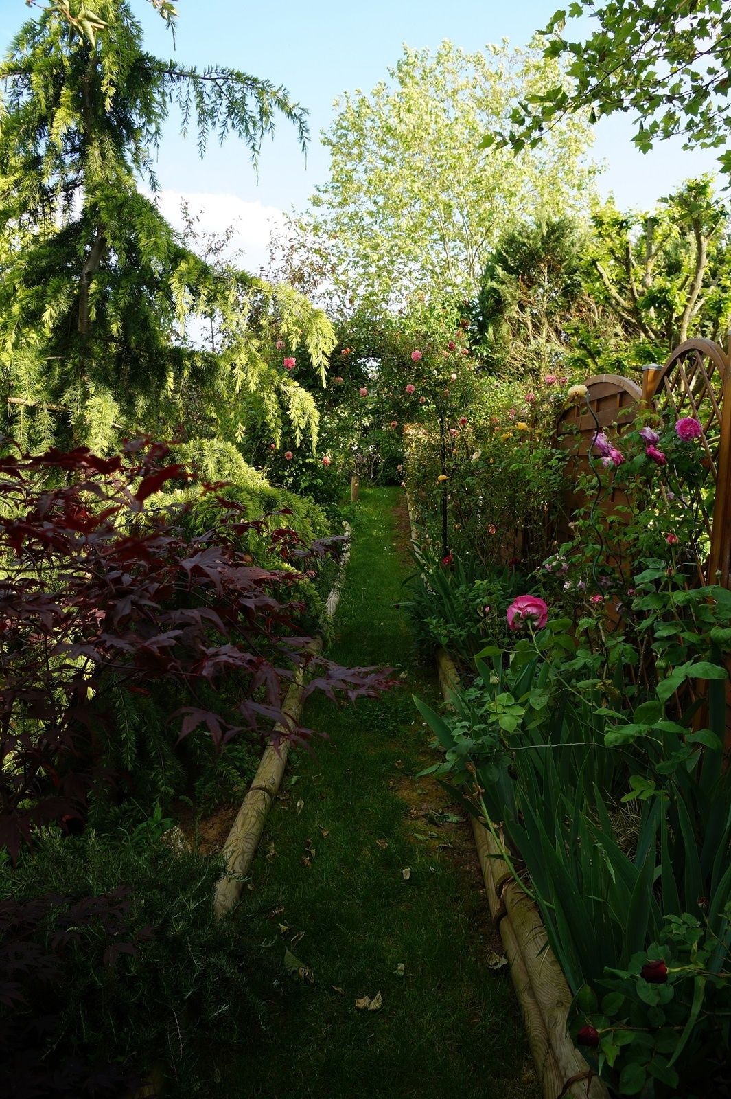 Un tour de jardin en images Le blog de Rosacorleone