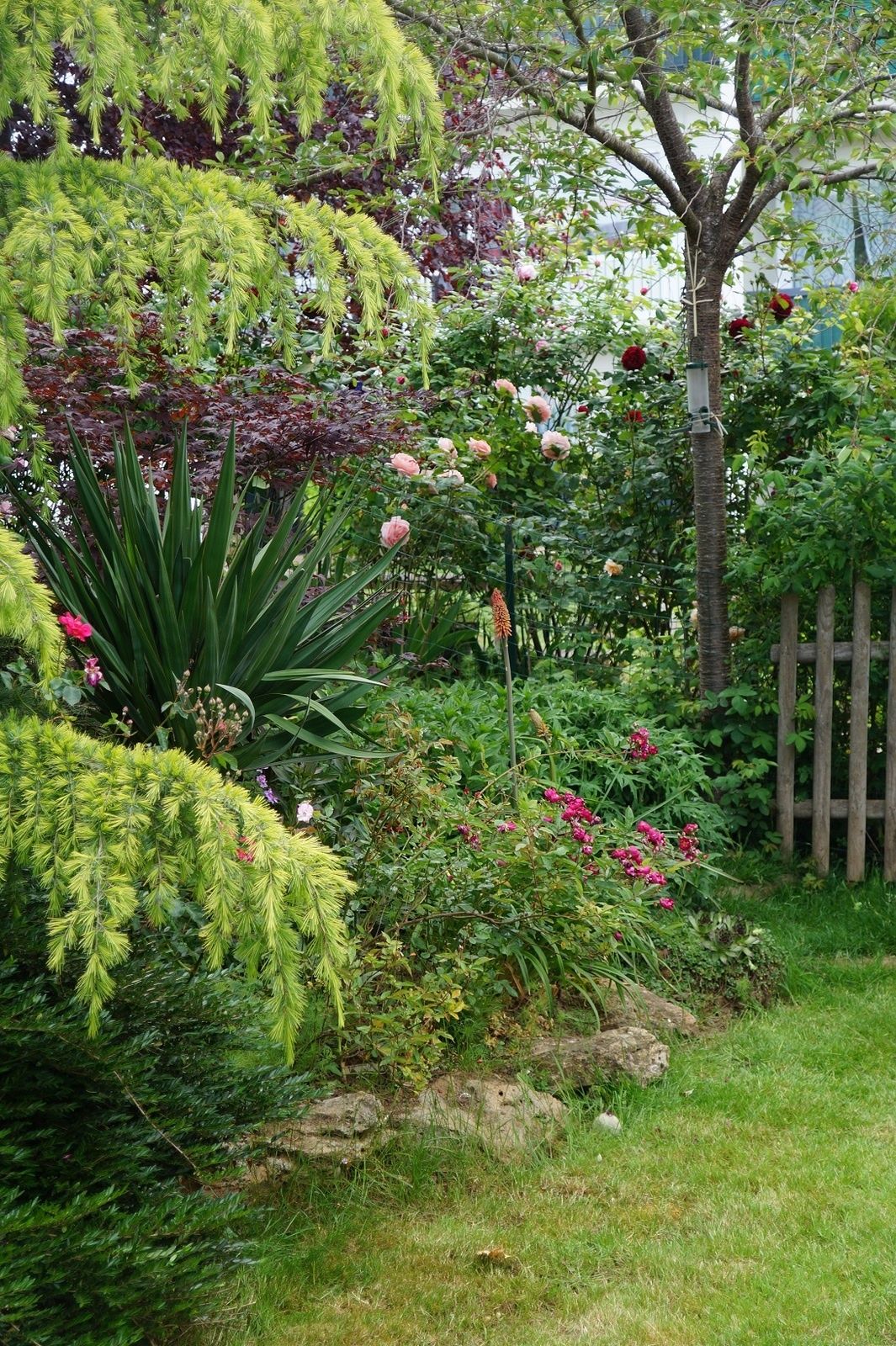 Un tour de jardin en images Le blog de Rosacorleone