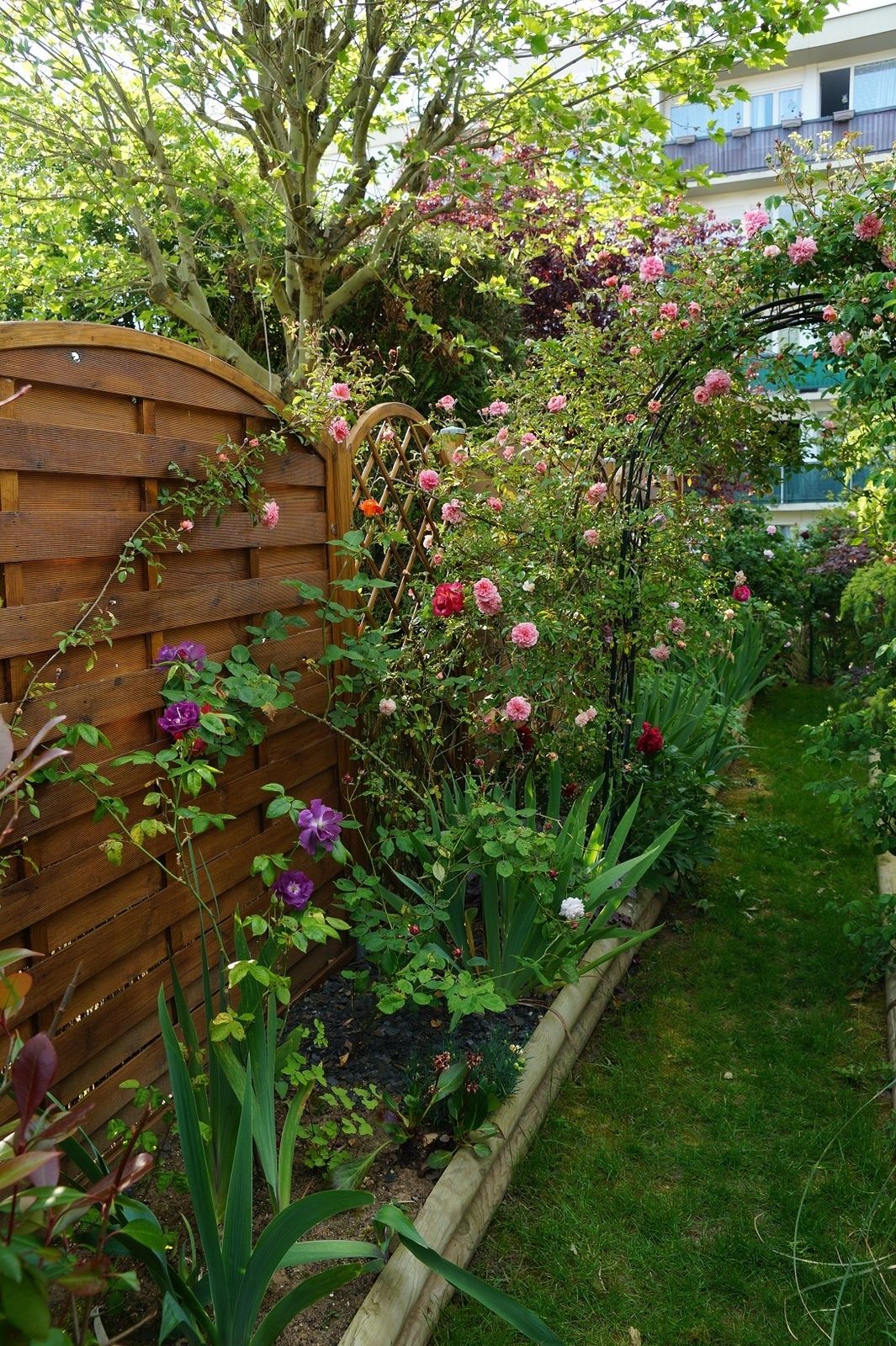 Un tour de jardin en images Le blog de Rosacorleone