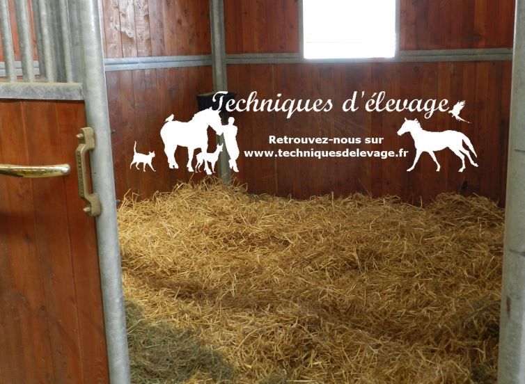 Pourquoi un cheval fait des coliques ? 