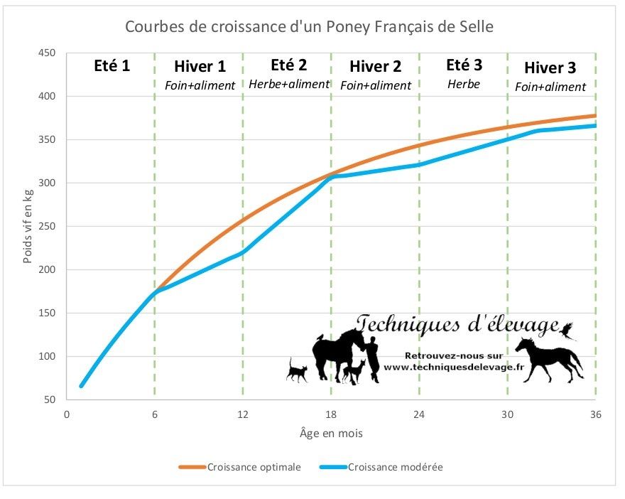 Courbes de croissance d’un poulain alimenté de façon optimale ou modérée Techniques d