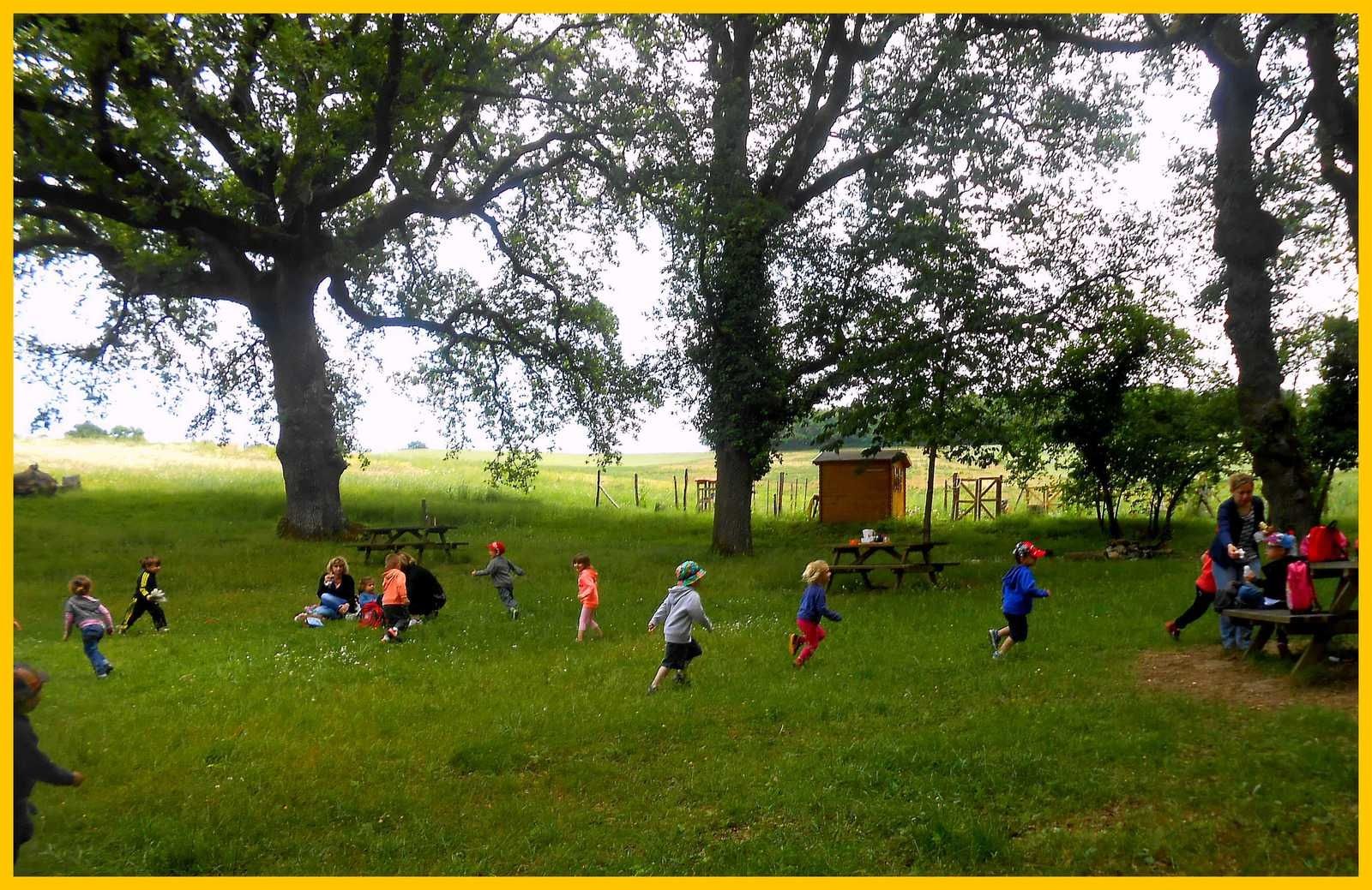 Après le repas, la course dans la prairie .