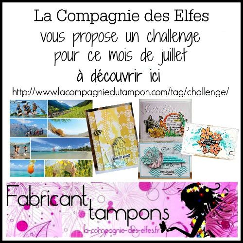 Challenge_juillet_La Compagnie des Elfes