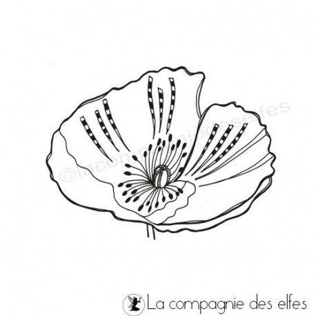 Fleur de pavot