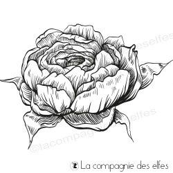 Tampon#Boutique#La Compagnie des Elfes#Pivoine en bouton