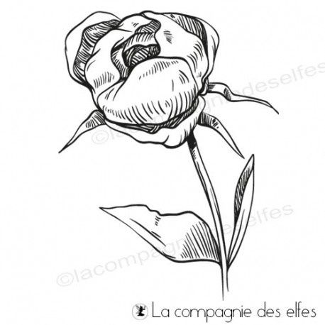 Bouton de pivoine_Boutique La Compagnie des Elfes