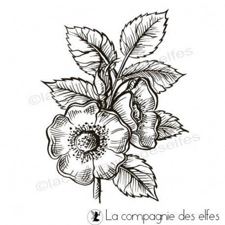 Tampon_La Compagnie des Elfes_Fleur d'églantier