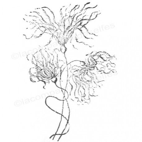 Tampon La Compagnie des Elfes_Fleurs folles