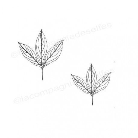 Feuilles de pivoine