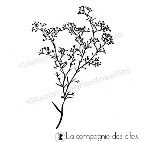 Gypsophile