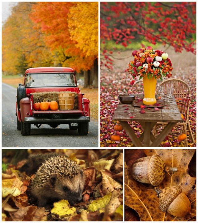 Challenge Moodboard_Scrap&Co