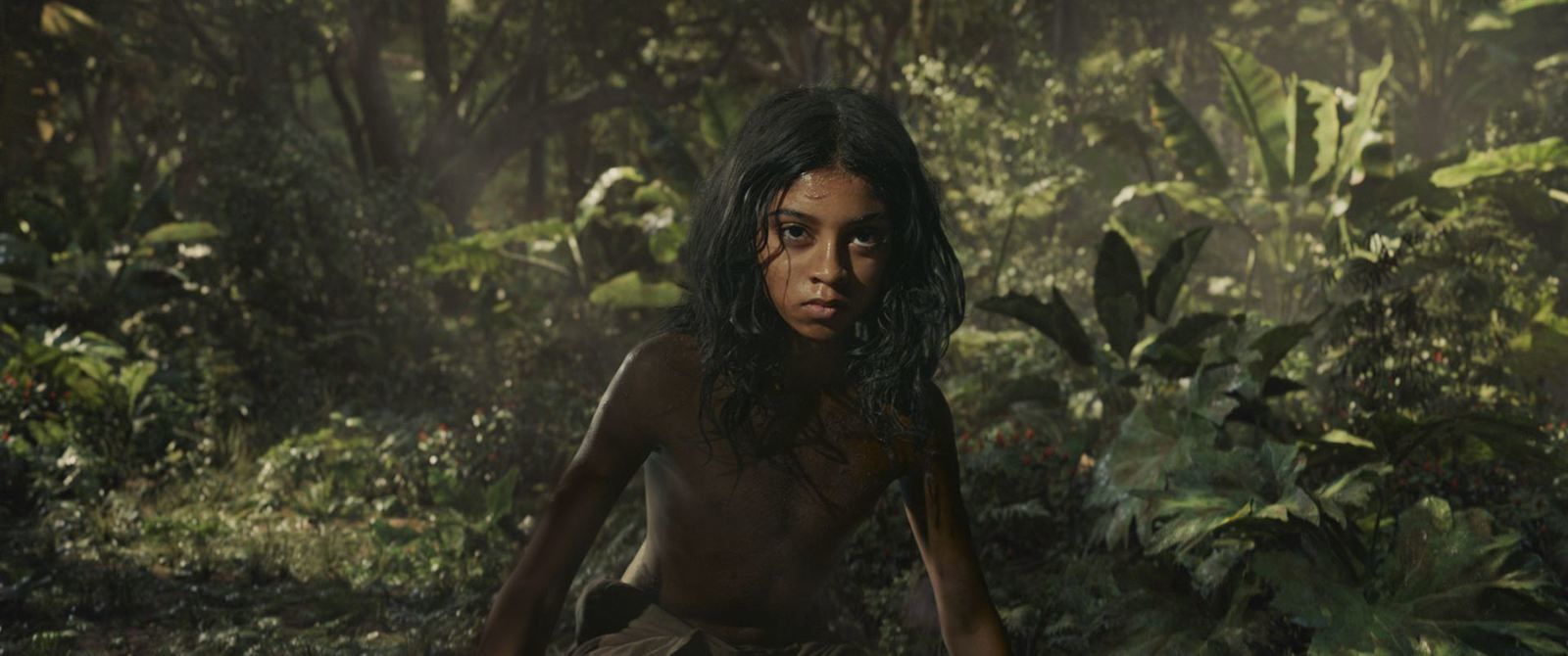 Mowgli : la légende de la jungle (BANDE-ANNONCE) avec Christian Bale, Cate Blanchett et Benedict Cumberbatch - Le 7 décembre 2018 sur Netflix