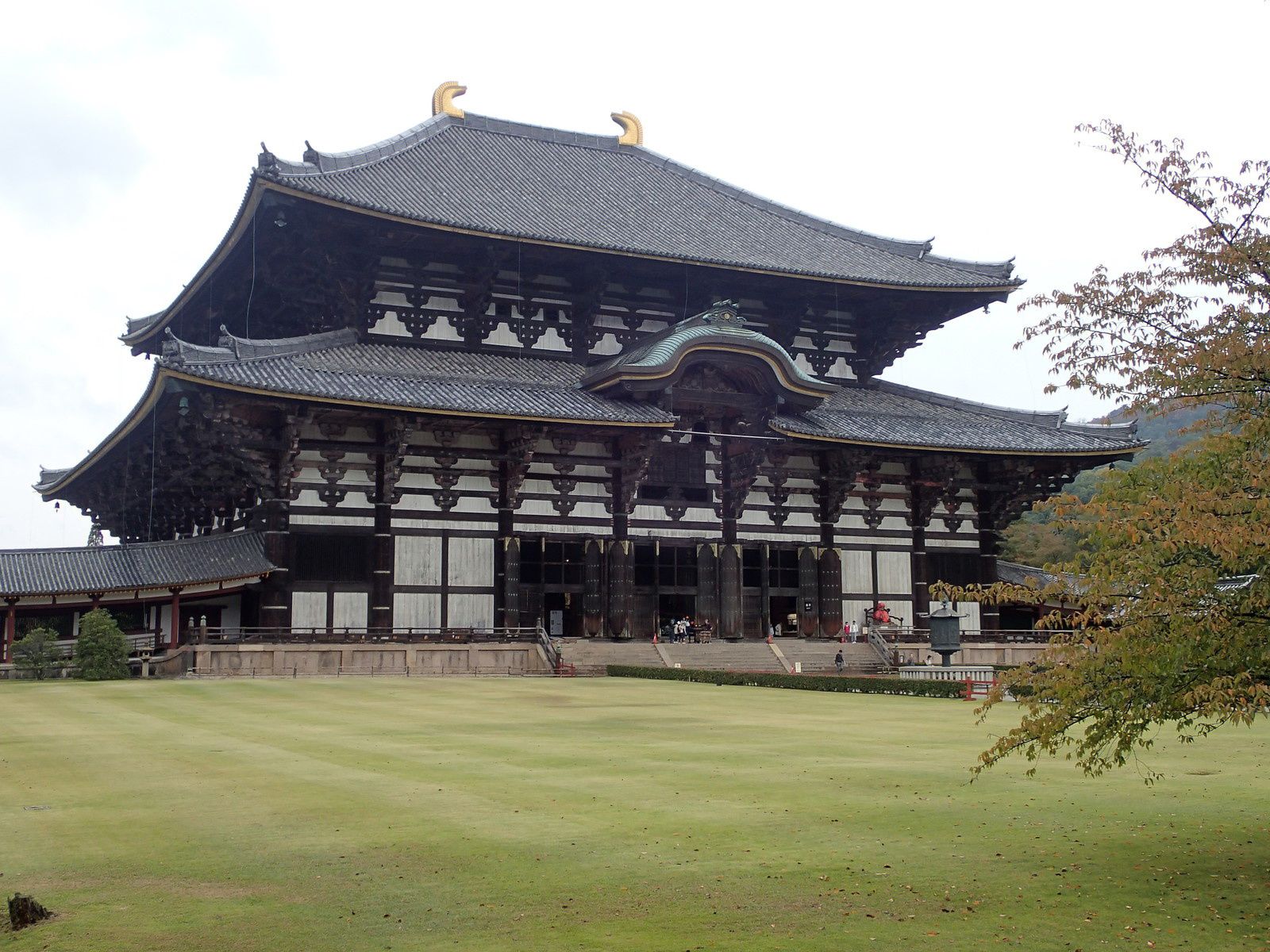 Courte étape à Nara (28 octobre 2017)
