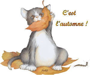 Jeu de l'automne - Autour de Nicole et Pierre