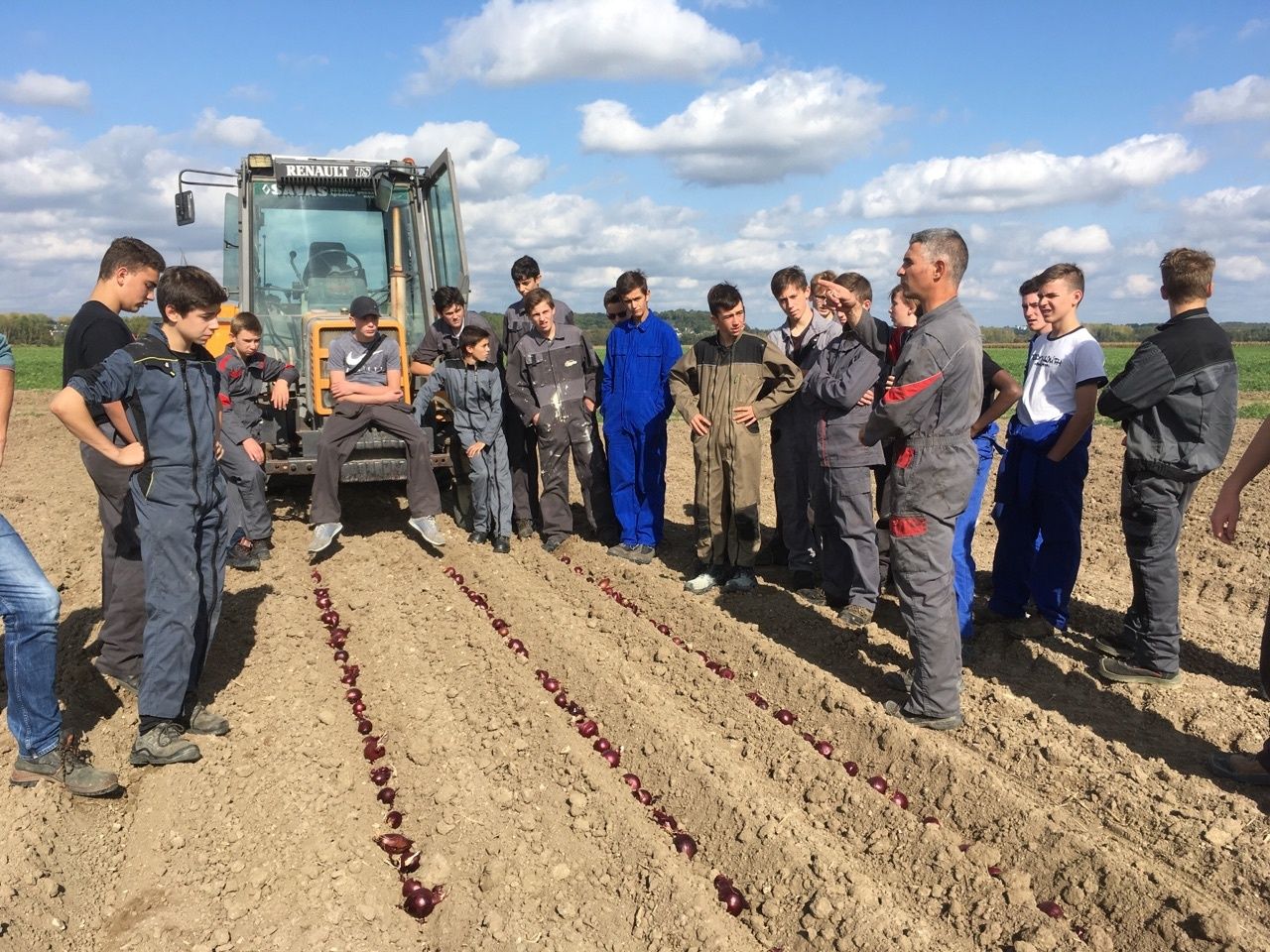 Les 3èmes découvrent les activités agricoles