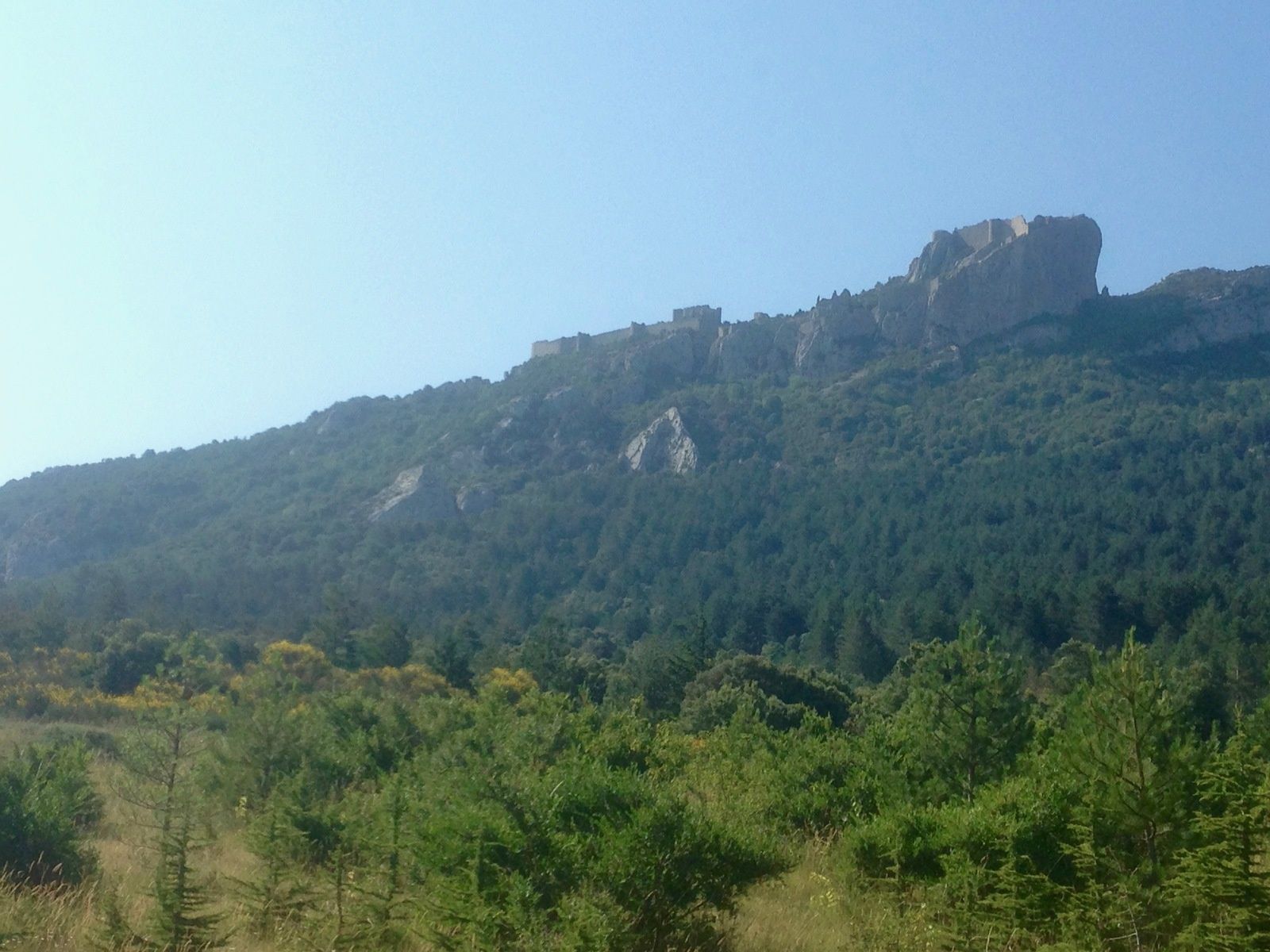 Une pensée pour les bergers de Rouffiac-des-Corbières