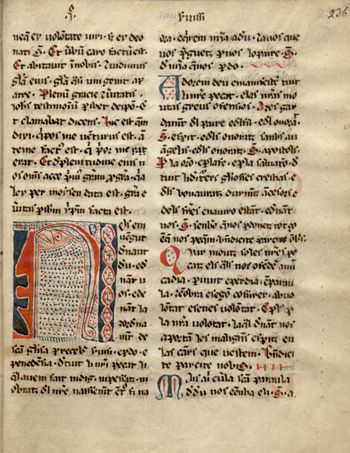 Cathares, un patrimoine écrit : “Une exposition qui permet d’entrer dans la chair du catharisme”