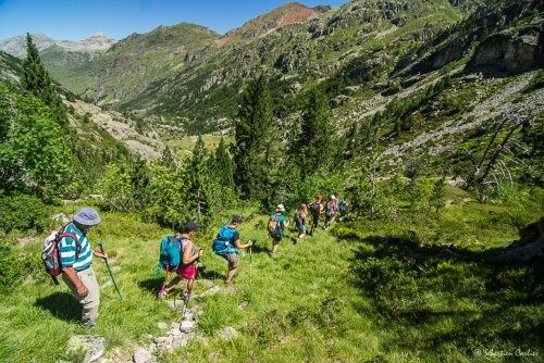 Stage vie de berger en vallée d'Ossau