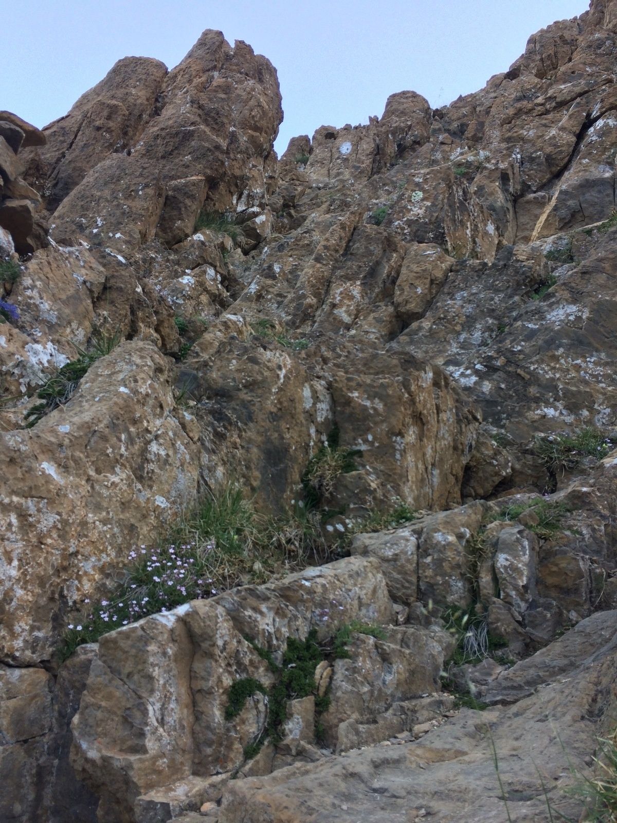 Les vires de la Escuzana et des Fleurs