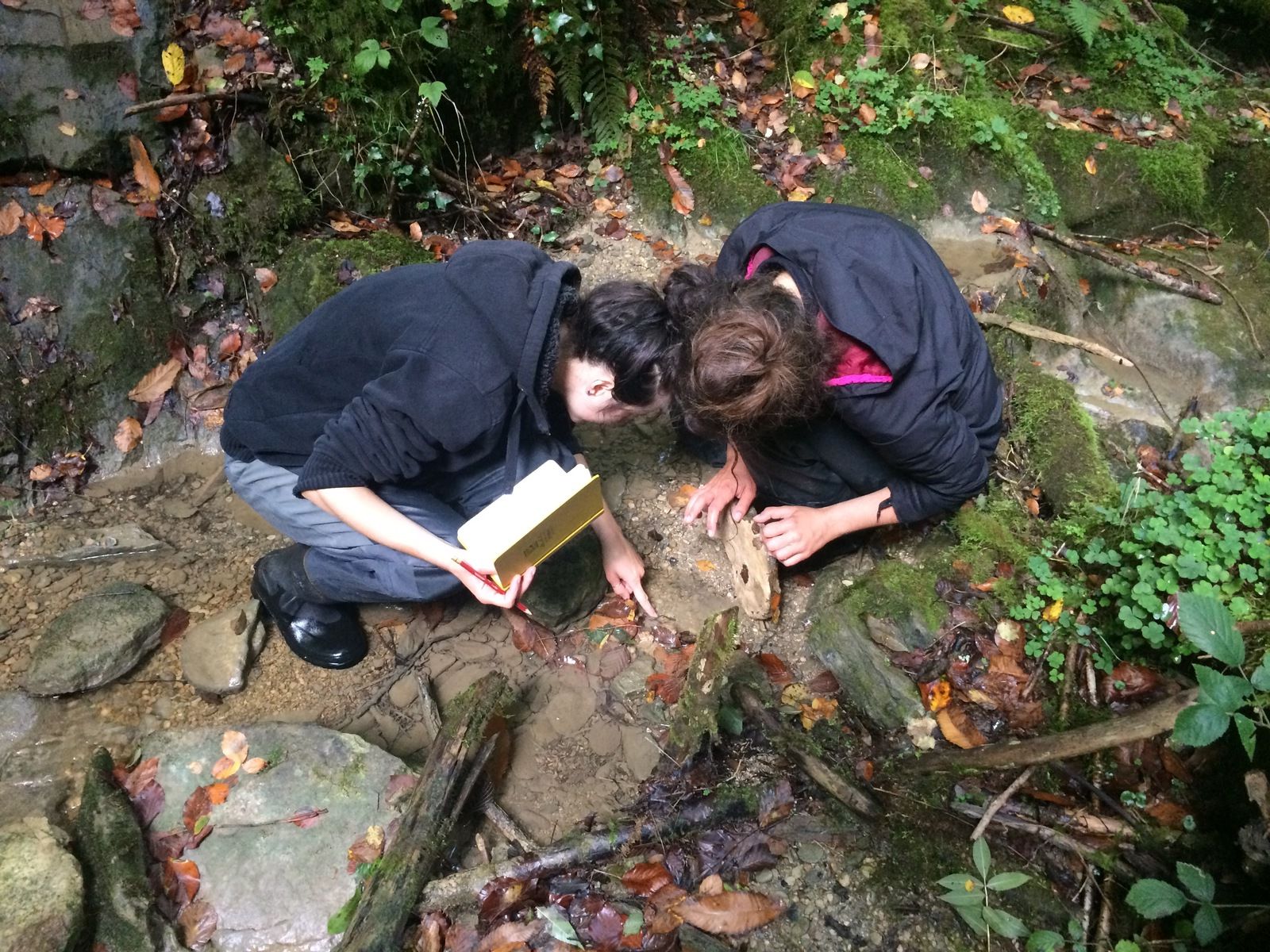 Le calotriton, star du Pyrénées magazine de mars-avril