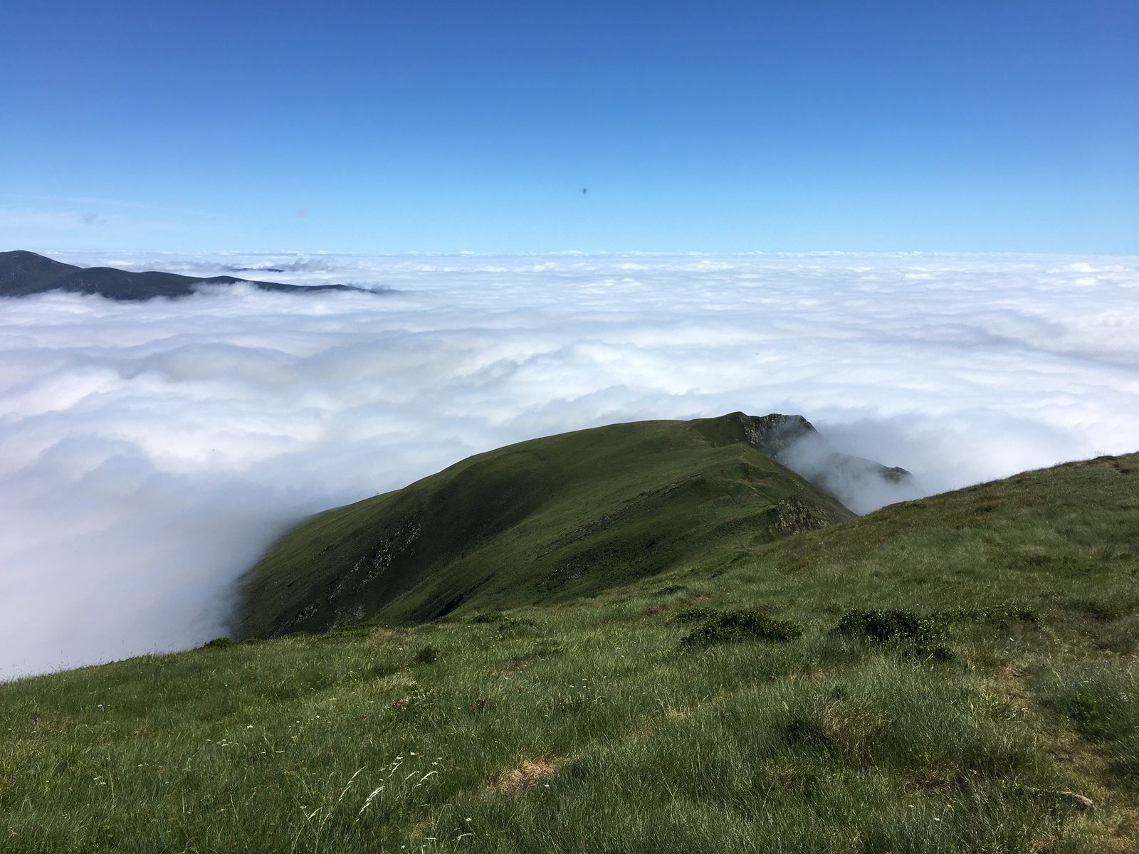Lercoul Ecologie Ruralité, cool... Association de sauvegarde et de