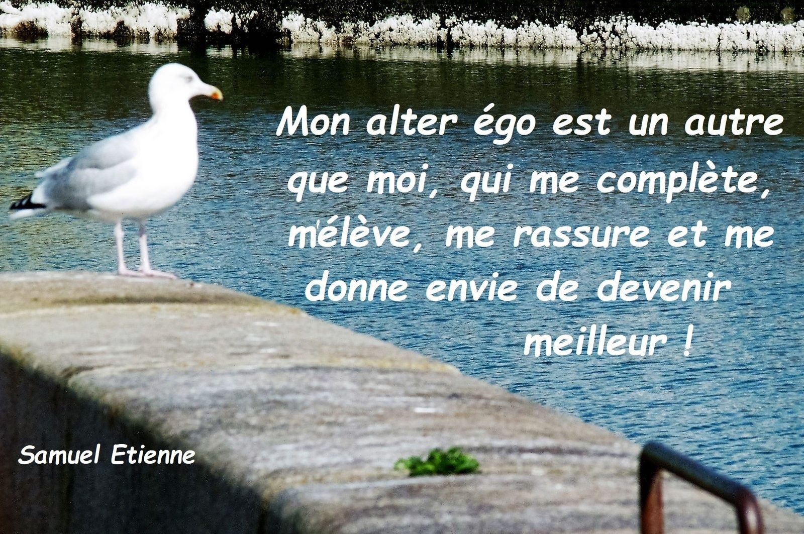 citations Trois Coccinelles