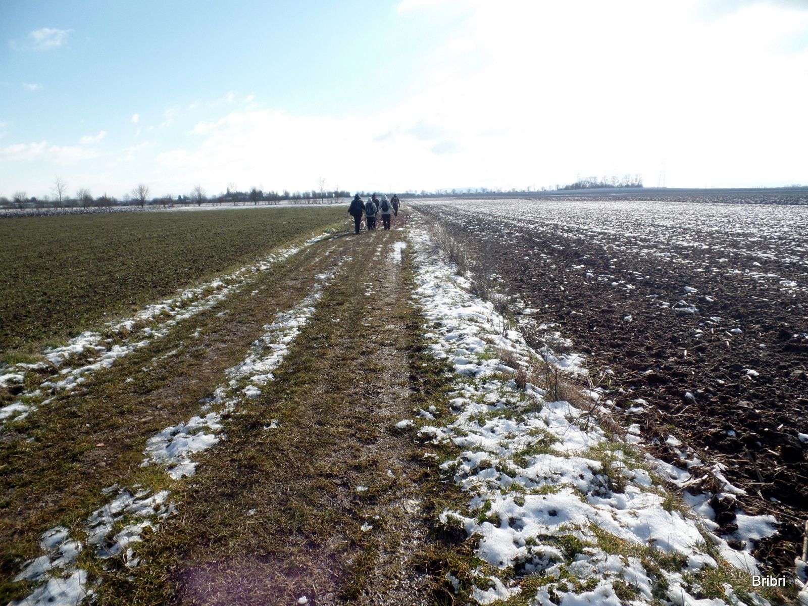 On marche au milieu des champs de Limagne avec des flaques bien gelées.