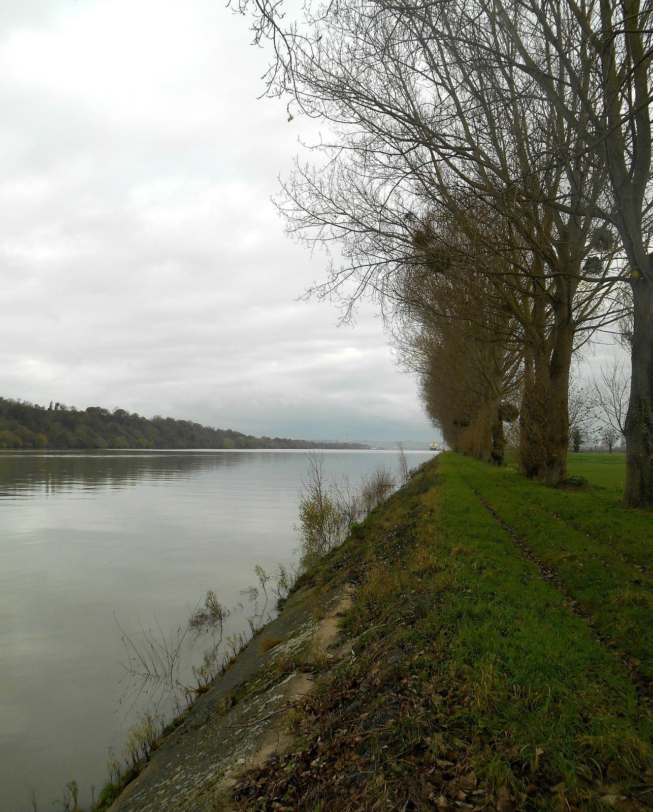 chemin de halage de la Seine à Petiville