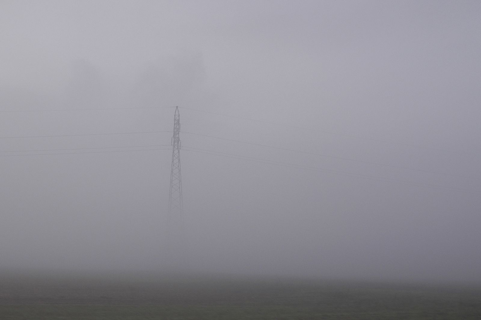 seules émergeant d'un brouillard opaque...