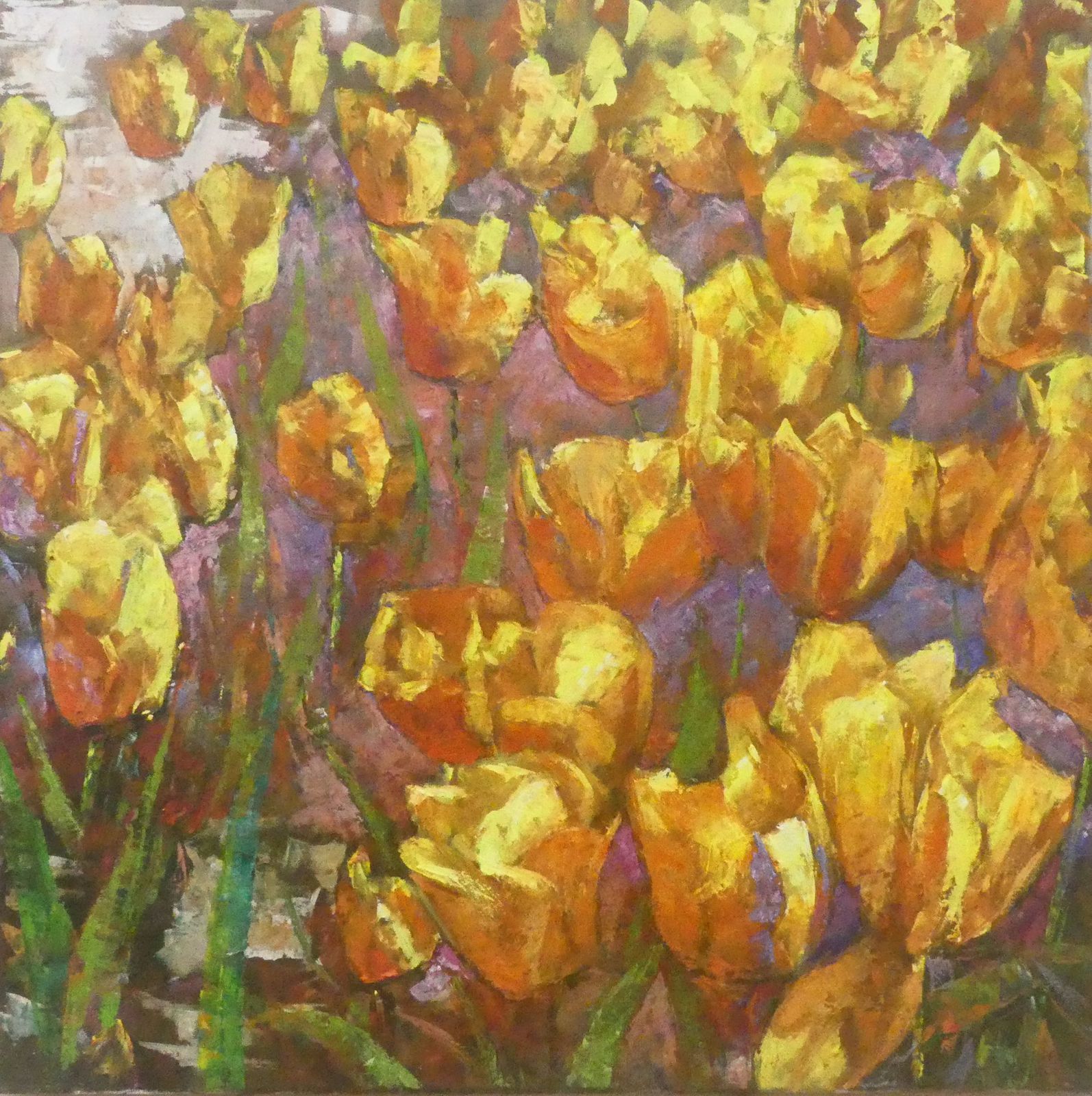 Les tulipes jaunes