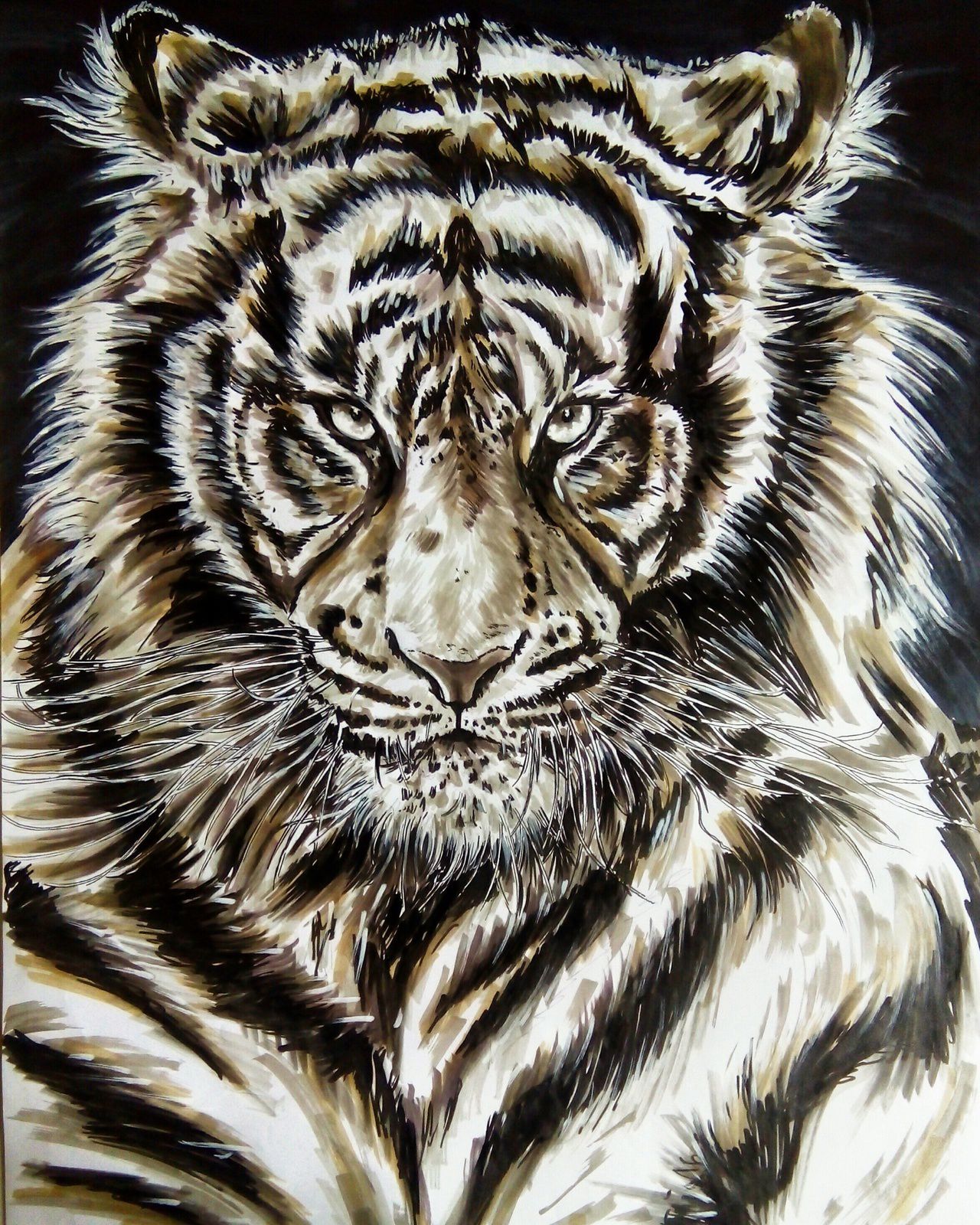 Рисунки в формате jpg. Тигр рисунок. Тигр гуашью. Белый тигр рисунок. Тигр рисунок гуашью.