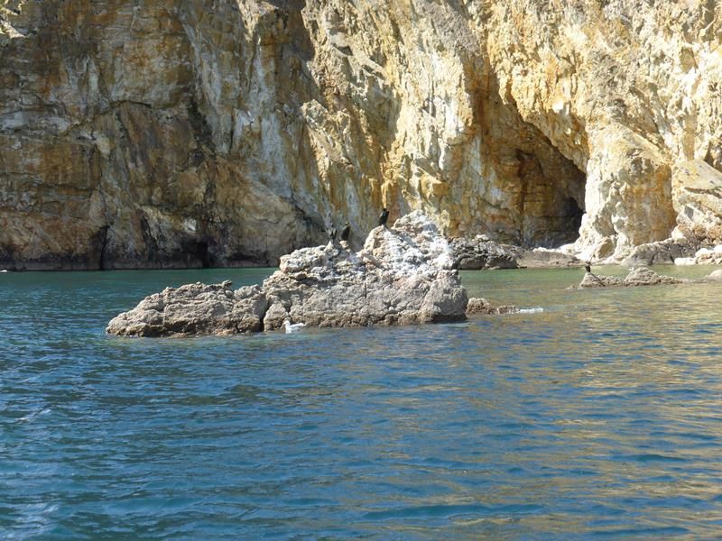 5 - Les grottes marines de Morgat